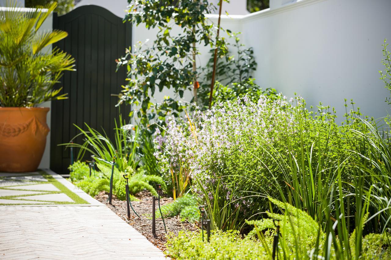 Akademie Street Boutique Hotel Franschhoek Exterior photo